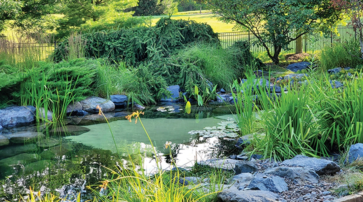 Sand Bottom Pond - Reflections Water Gardens